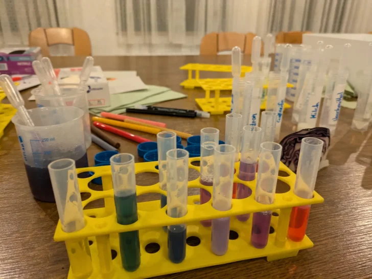 Farben aus Rotkraut Bunte Reagenzgläser in einem Halter zum Experimentieren mit Rotkraut