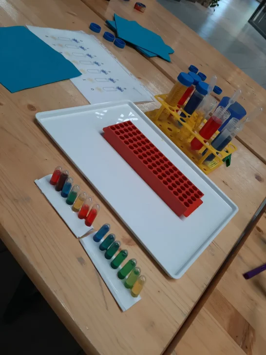 Farbexperimente Laborbedarf auf einem Tisch: Reagenzgläser, Pipetten, farbige Plättchen und ein Layout.